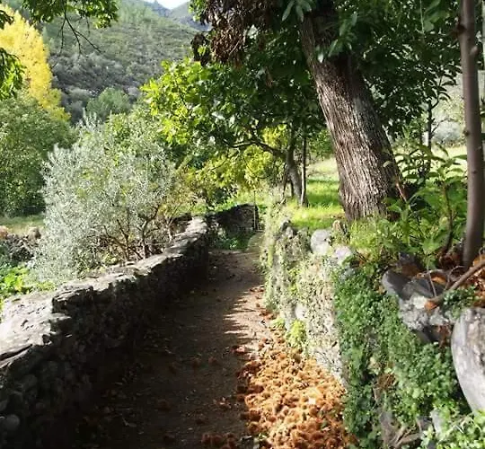 Casa de Férias La Chocita De Tio Castor