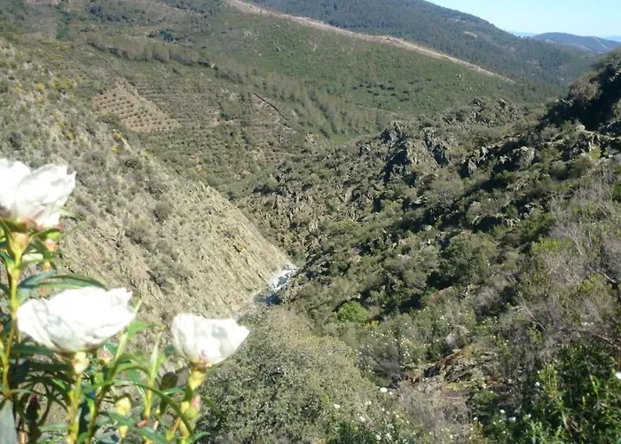 La Chocita De Tio Castor