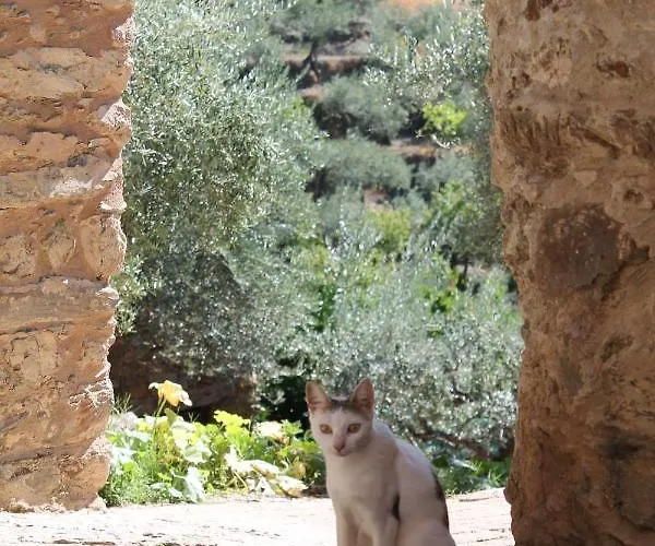 La Chocita De Tio Castor Ovejuela